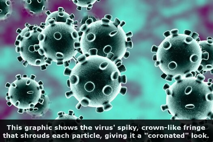 Coronavirus